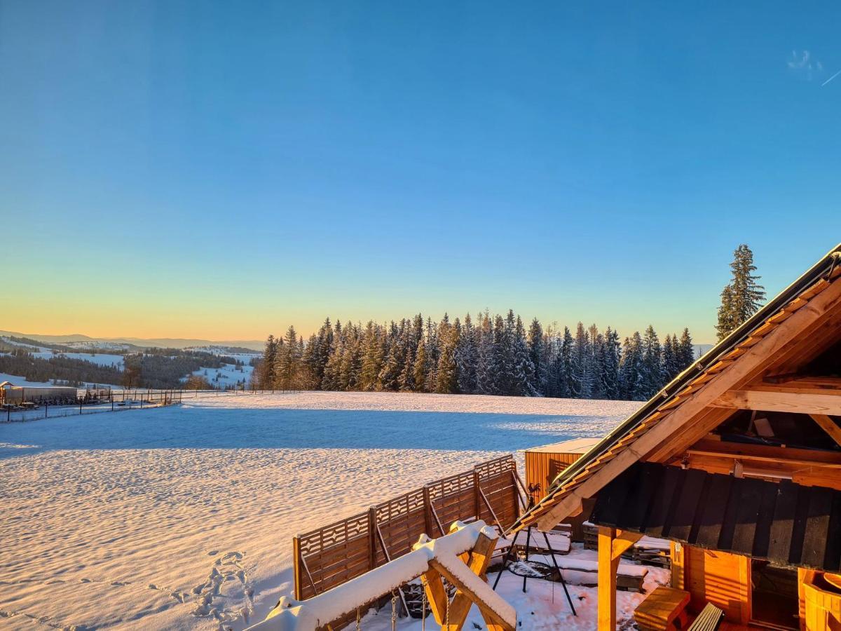 Domek W Zebie Z Jacuzii I Sauna W Cenie Zab Exteriör bild